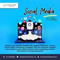 Social Media Marketing  Feather Software Service