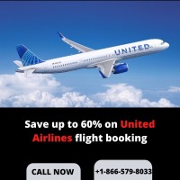 Book Cheap United Airlines Flights 8665798033